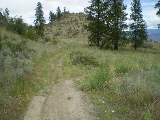 Left fork goes to high point, right fork continues to run north, Oliver Mtn East Trail 2012-06.